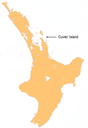 Lage von Cuvier Island