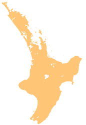 Aroha Island (Neuseeland)