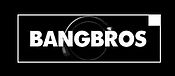 Bangbros logo.jpg