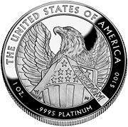 American Platinum Eagle 2007 Proof Rev.jpg