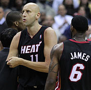 Zydrunas Ilgauskas Heat.jpg