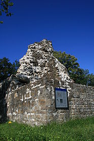 Tegerfelden Ruine 8371.JPG