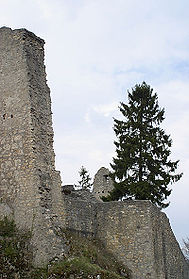 Ruine Farnsburg