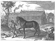 Cavendish - L’Art de dresser les chevaux, 1737-page044.jpg