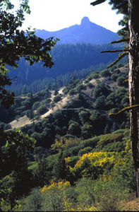 Übergangsbereich zwischen der Kaskadenkette und den Siskiyou Mountains in Oregon