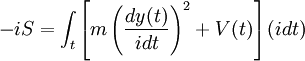 -iS = \int_t \left[ m \left(\frac{dy(t)}{i dt}\right)^2 + V(t) \right] (i dt)