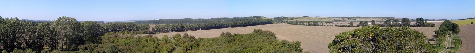Blick von der Bicklingswarte zur Seweckenwarte mit Quedlinburg hinten links.