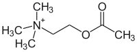 Struktur von Acetylcholin