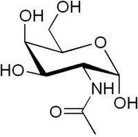 Struktur von N-Acetylgalactosamin