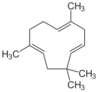 α-Caryophyllen
