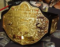 World Heavyweight Championship Gürtel(März 2003 - heute)