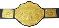 WCW World Heavyweight Championship Gürtel (1991, 1994 - 2001)