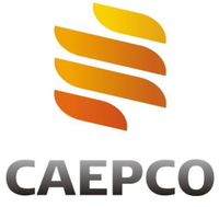Central-Asian Electric Power Corporation Logo