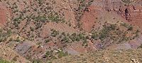 Chinle Formation near Springdale, Utah.jpeg