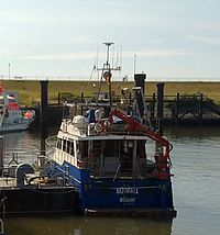 Forschungsschiff Südfall an ihrem Ponton in Büsum.jpg