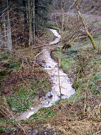 Muckenseebach oberhalb des Muckensees