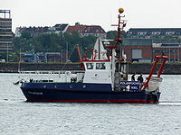 Polarfuchs Kiel 2008.jpg