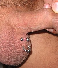 Scrotum piercing.jpg