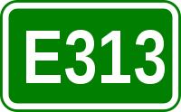 Europastraße 313