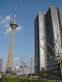 Tianjin TV Tower 12(small)(2008-08).JPG