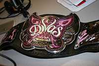 Der WWE-Divas-Championship-Titelgürtel