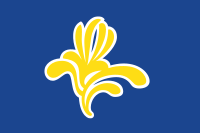 Die Flagge der Region Brüssel-Hauptstadt