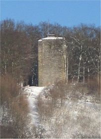 Ruine Scharfeneck