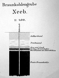 Bohrprofil der Grube Neeb aus der Lagerstättenkarte von 1882.