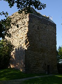 Reste der Burg Kalsmunt