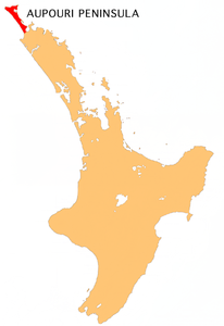Karte von Aupouri Peninsula