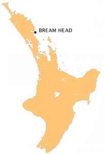 Karte von Bream Head