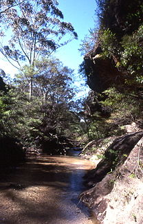 Wollangambe River