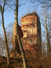 Ruine des Wohnturms der Burg Stuer