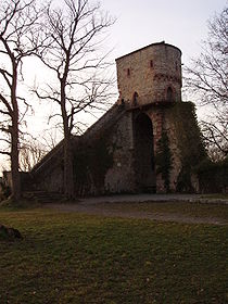 Ruine Hohennagold, Turm
