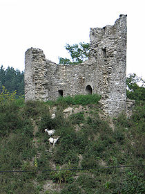 Die Ruinen der Lauksburg (Blick von Westen).