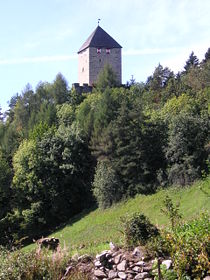 Burg Schöneck von Osten