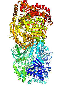 Presequence Protease