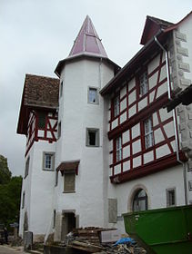 Schloss Thayngen)