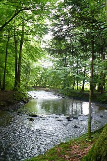 Einer der Flussarme im Unterlauf des Flusses