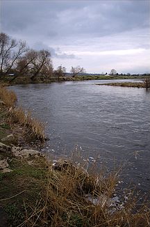 Der River Ribble bei Ribchester