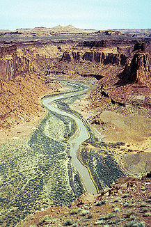 Dirty Devil River in der Nähe des Twin Corral Box Canyon