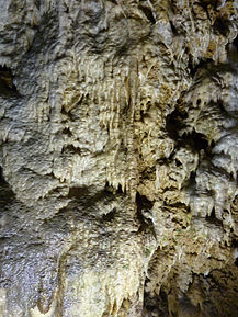 Tropfsteinwand in der Gutenberger Höhle