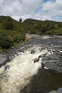 Whakapapa River bei Owhango