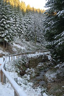 Winterabend im Tal der Großen Pyra