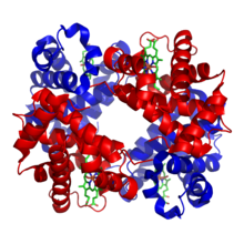 Schematische Darstellung der Kristallstruktur von Hämoglobin