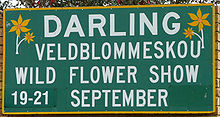 Darling Wild Flower Show.jpg