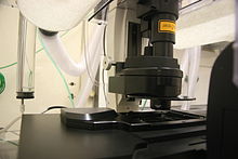 Konfokalmikroskop im IPMB (3).jpg