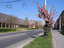 Slovakia Town Presov 209a.jpg