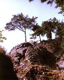 Burgfelsen von Neu-Blumberg