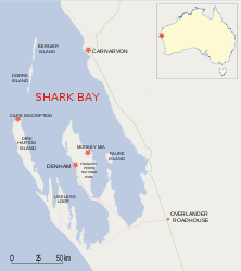 Lage von Bernier Island in der Shark Bay
